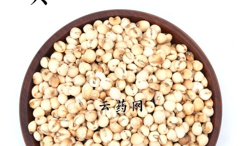 宝支灵功能主治网宝支灵的功能与作用知识网站,分享宝芝灵的功效与作用大全