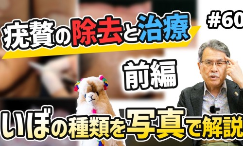 宝支灵的功能与作用-宝支灵功能主治网宝支灵的功能与作用知识网站,分享宝芝灵的功效与作用大全